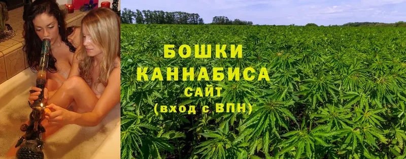 Каннабис OG Kush  MEGA   Гаврилов-Ям 